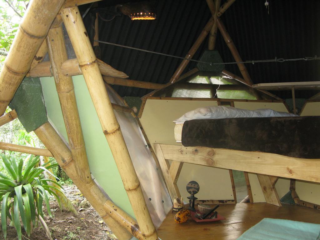 Kasaguadua - Reserva Natural Salento Zimmer foto